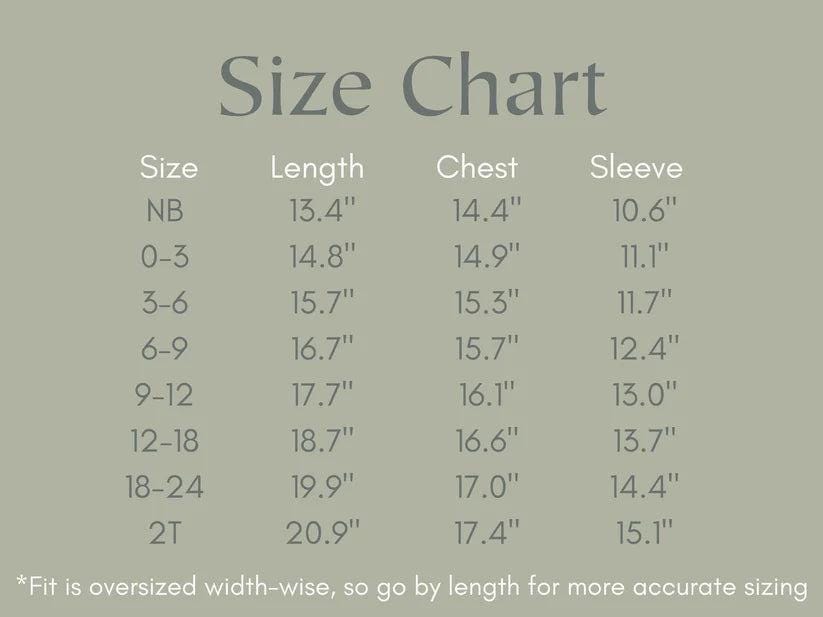 Silly Goose Bamboo Baby Romper - Teal or Blue - Infant Baby Toddler